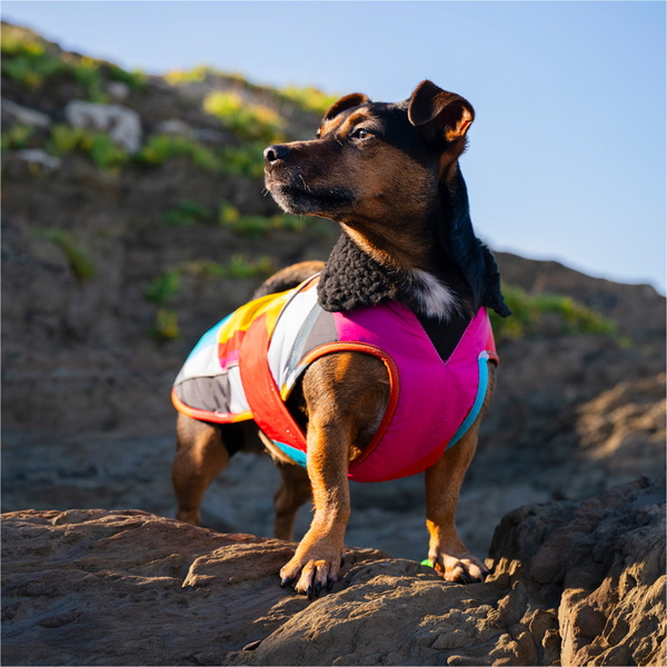 2026 Dryrobe Dog Coat V3DRDC - Abstract